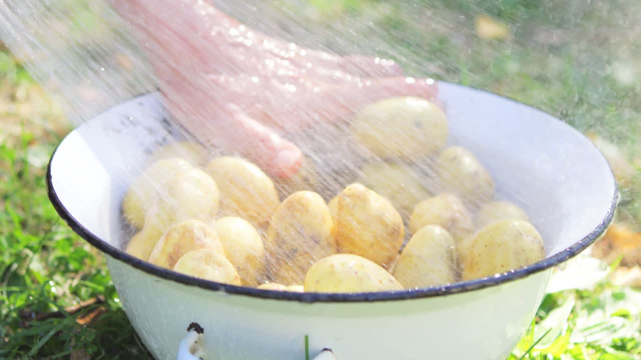 庭でジャガイモを洗っている女性の手のクローズアップ