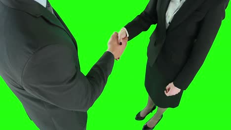 business people handshaking