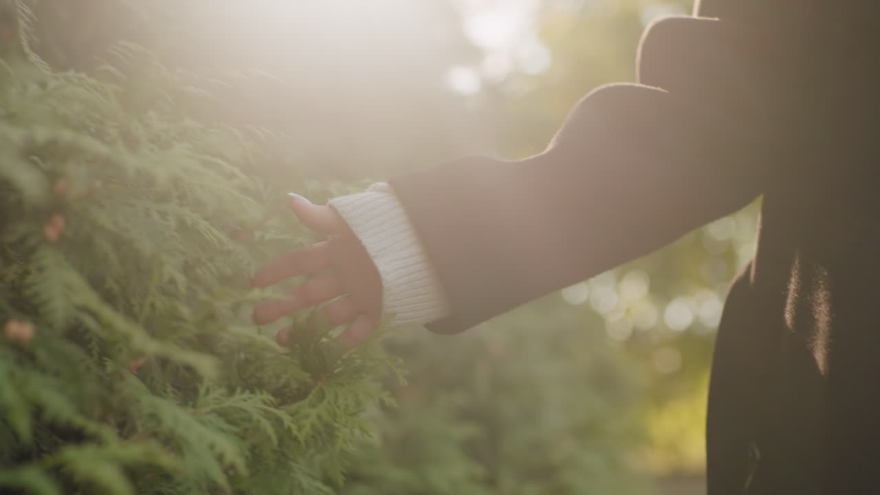 초록색 울타리 잎사귀 사이를 미끄러지듯 움직이는 여성의 손 클로즈업, 검은색 코트 소매가 삼나무 잎을 스치는 모습, 부드러운 손길, 차분하고 느린 움직임, 자연의 질감 디테일을 담아낸 조심스러운 야외 산책 분위기