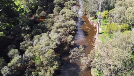 Narrow-river-surrounded-by-vegetation