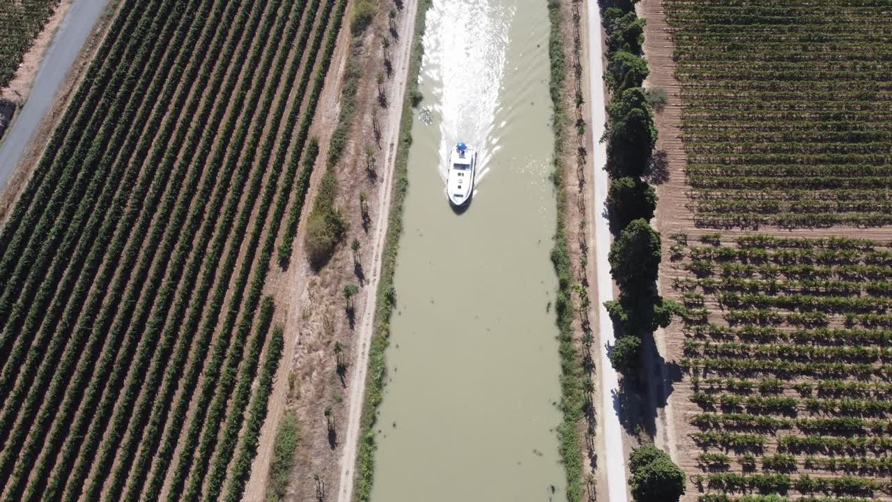 Barca da diporto naviga tra i vigneti, Somail, Canal Du Midi, Sud della Francia.