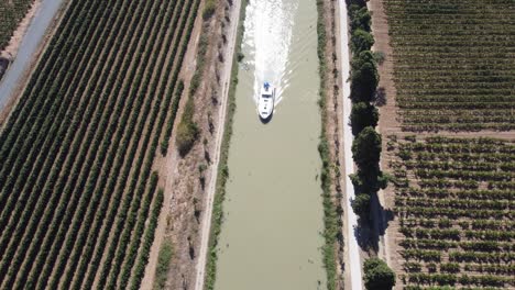 leisure boat sails between the vineyards, somail canal du midi south of france