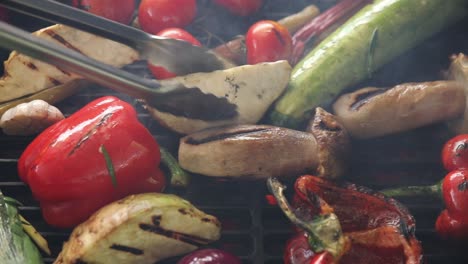 grilled vegetable medley on barbecue grill