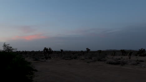 desert landscape at night, path