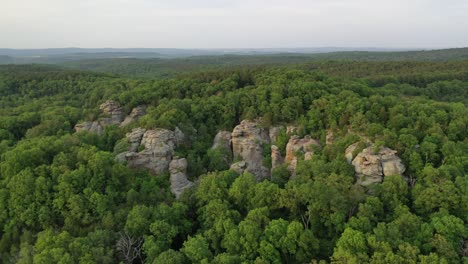 beautiful forest landscape with small rocky cliff, aerial view