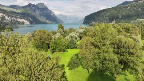 Walensee-lake-with-lush-green-trees-and-surrounding-mountains-in-Switzerland