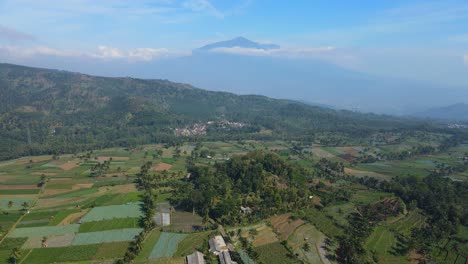 stunning 4k aerial footage of lush terraced rice fields and green plantations with a majestic mountain backdrop. perfect for nature, agriculture, and travel projects
