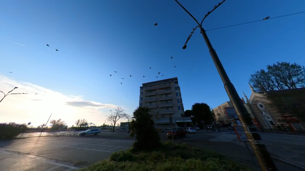 이탈리아 리미니 의 주차장 위 를 날아다니는 새 들