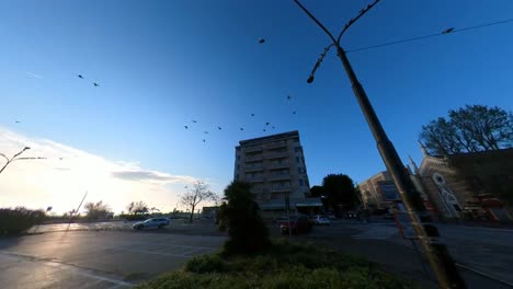 Birds-Flying-Over-Parking-Lot-in-Rimini,-Italy