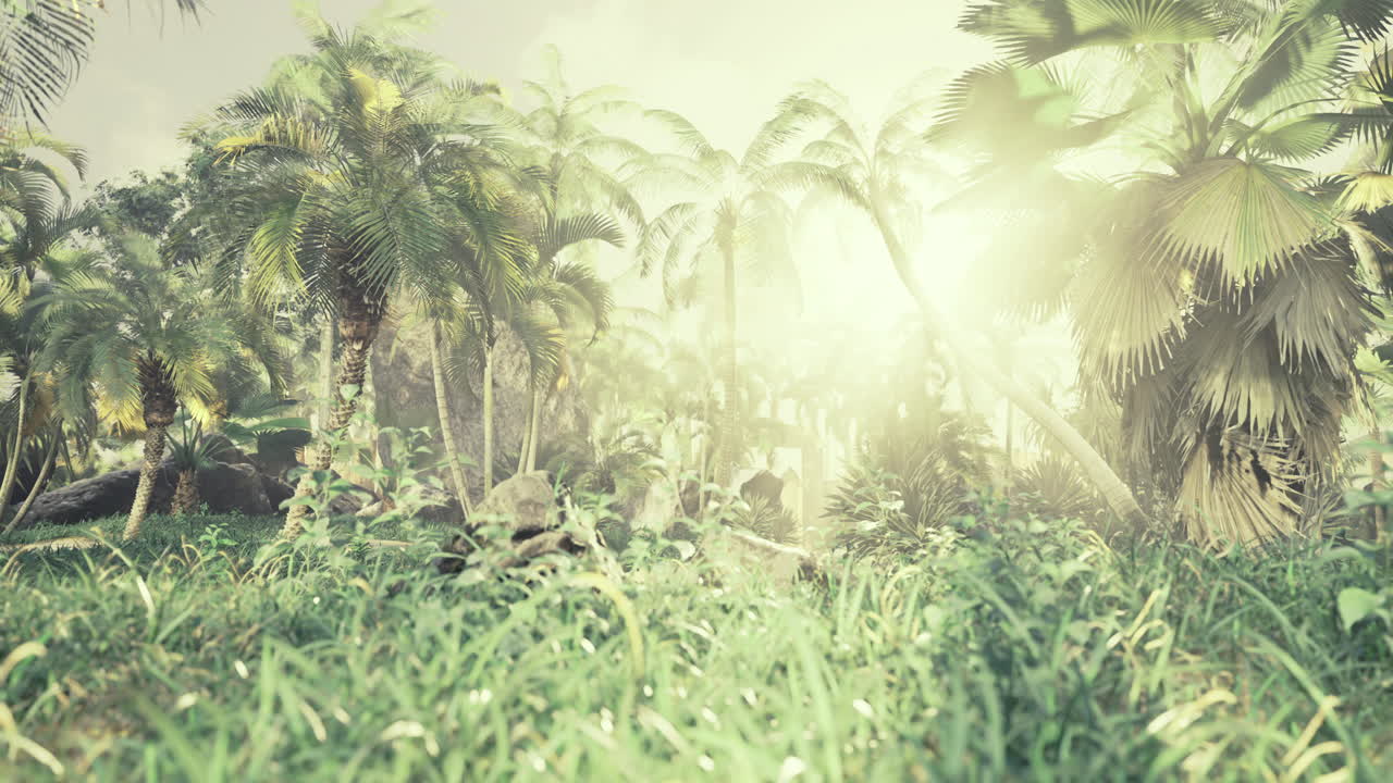 Lush Tropical Scene with Palm Trees