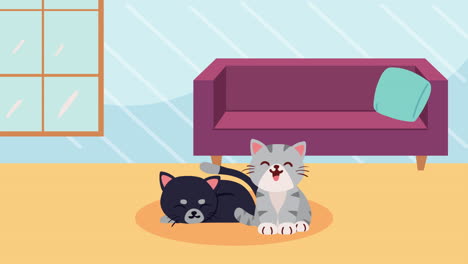 cute cats in livingroom scene