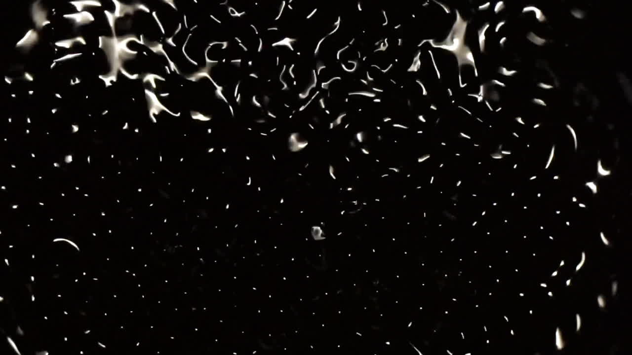 patrones caóticos, que se asemejan a partículas subatómicas, evolucionan en formas de onda estructuradas