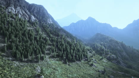 cordillera con valle y bosque