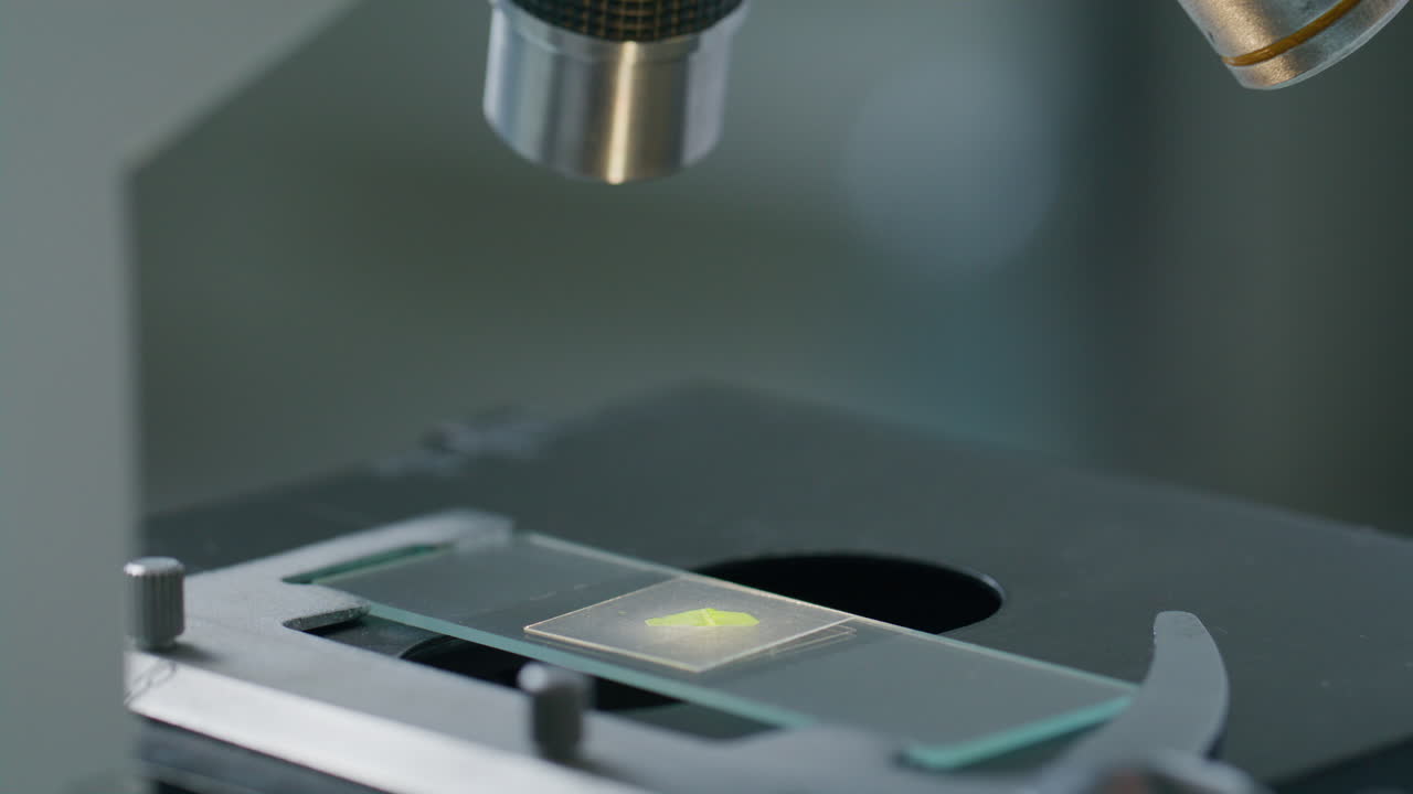 Close-Up of Examining Glass Slide with Leaf Specimen under Microscope