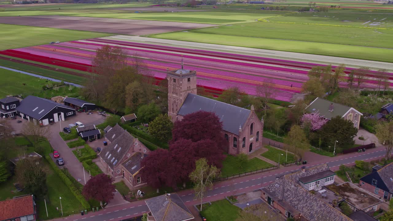 Vista aerea di Aartswoud con tulipani, fiori, chiesa, che mostra uno scenario storico suggestivo nei Paesi Bassi