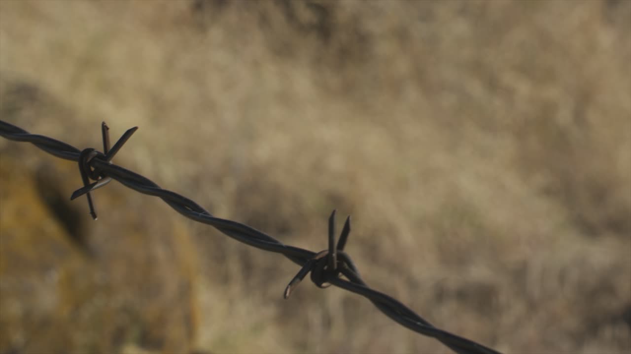 barbed wire flowing in the breeze with brown dead grass in the background