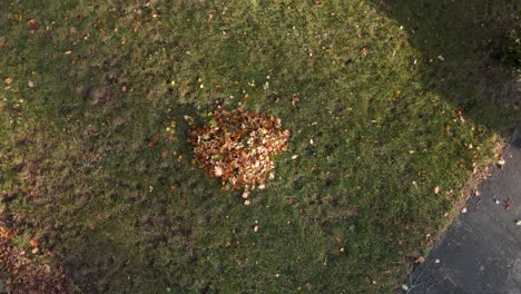 Vogelperspektive-über-Einem-Laubhaufen-Im-Herbst