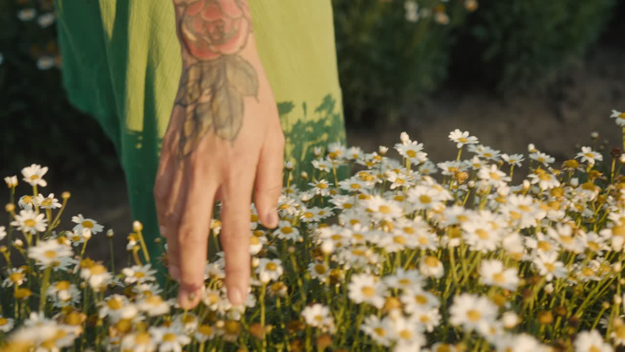 Woman in green dress touching daisies in a field