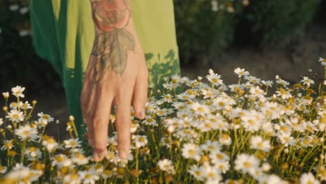woman in green dress touching daisies in a field