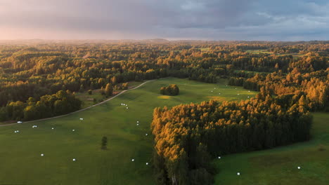 stunning aerial footage of sunset over expansive green fields and dense forests, showcasing the beauty of nature bathed in golden light