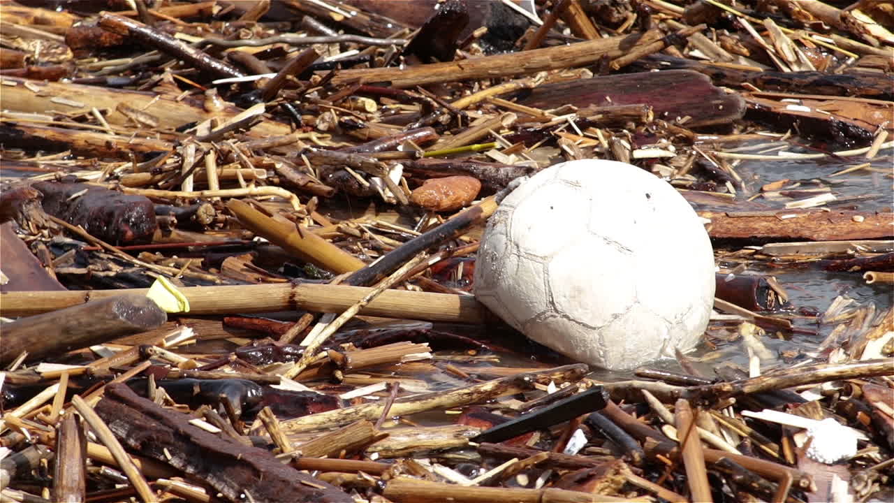 Soccer ball and branches floating in a flooded river, close up