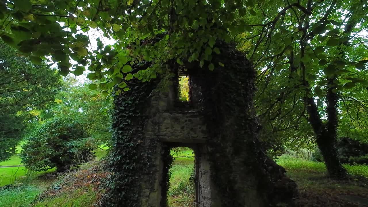 Ireland dark places remains of church in forest with a dark past and history haunted sites of rural Ireland