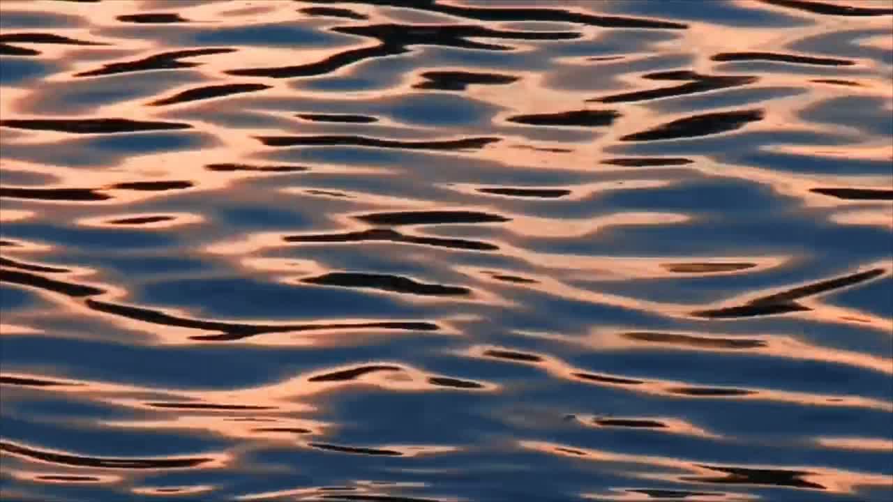 Superfície da Água Ondulante Refletindo a Luz Dourada do Pôr do Sol