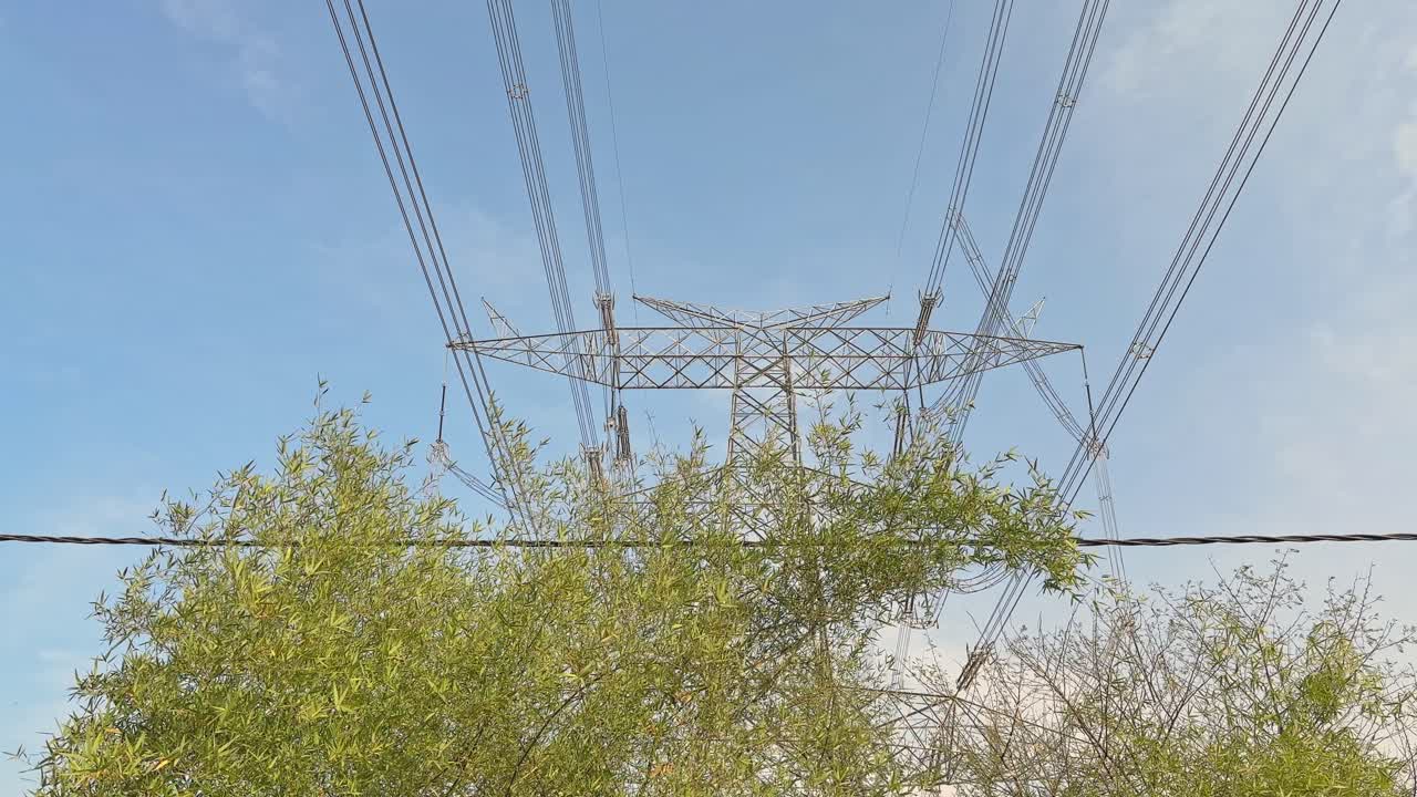 Static view of a lattice steel transmission tower rising above bamboo foliage, high-voltage power lines stretching across a clear blue sky, blending energy infrastructure with nature