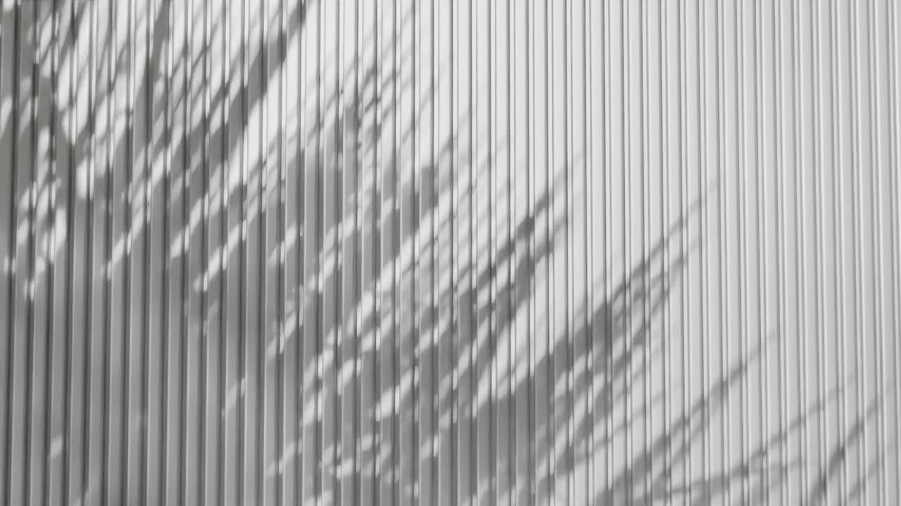 Shadow of palm leaves on vertical white corrugated metal wall. Abstract natural light and line pattern background. Design for wallpaper, banner, postcard, greeting card, poster, vertical
