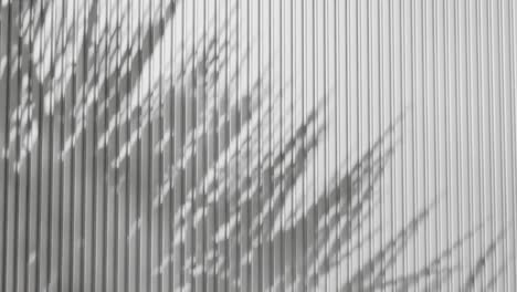 shadow of palm leaves on vertical white corrugated metal wall. abstract natural light and line pattern background. design for wallpaper, banner, postcard, greeting card, poster, vertical