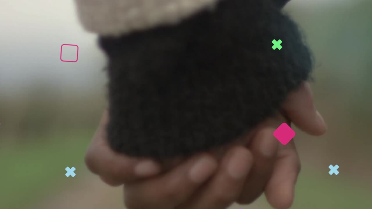 Couple Holding Hands and Sunset Animation