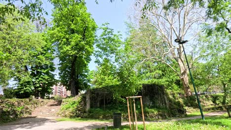 a serene walk through lush greenery