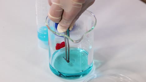 iron reacts with copper sulfate in a beaker