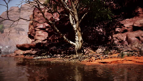 reflection of grand canyon in colorado river