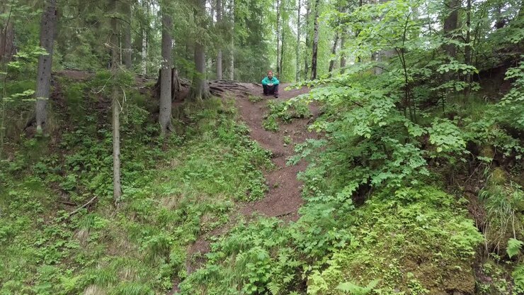 Person Sitting on a Hiking Trail in a Forest