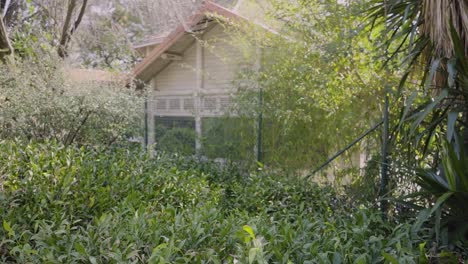 City-Garden-Park-Travel-Sunny-Birds-Blue-Sky-Wooden-House-Wood-Hidden-Reveal-Green-Portugal-Lisbon-Traveling-Shot