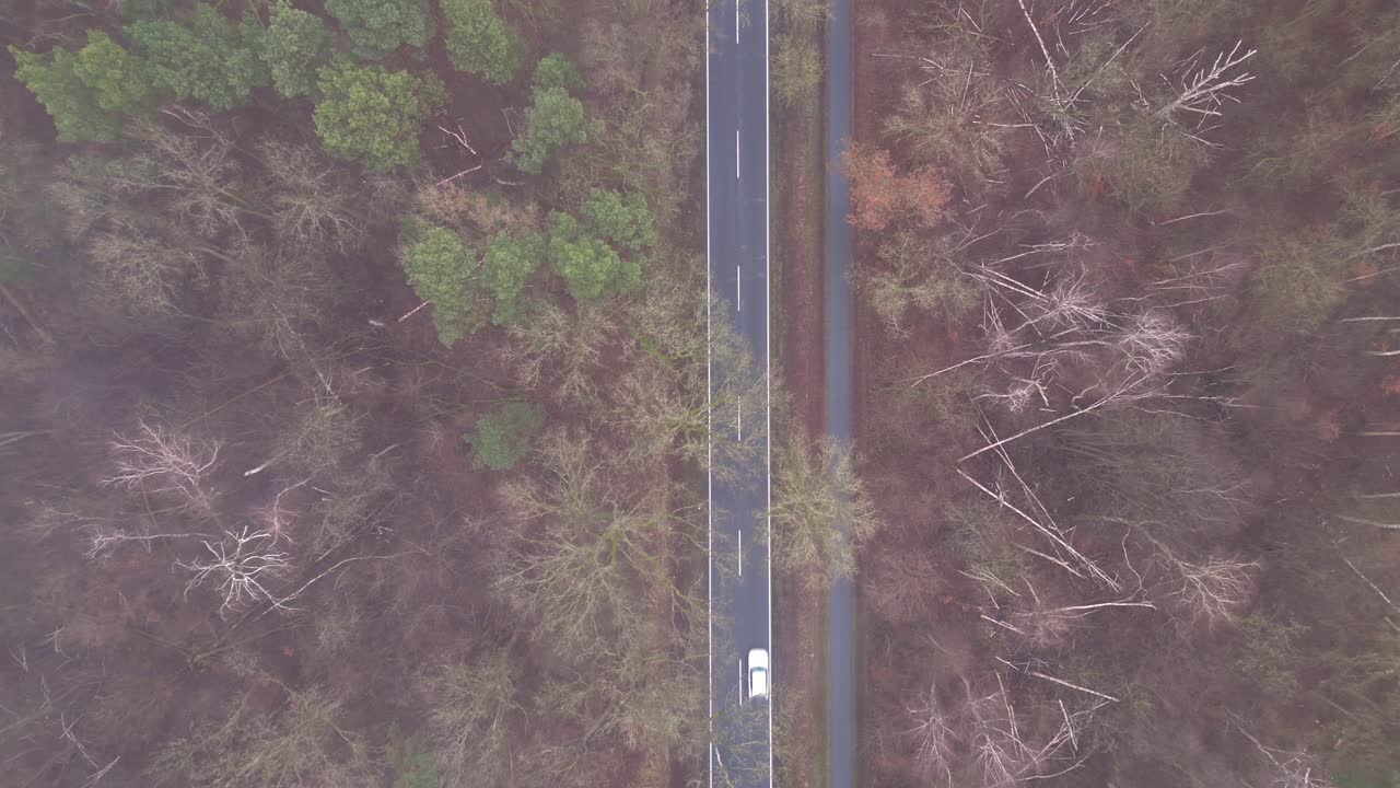 미스터리한 숲을 가로지르는 어두운 아스팔트 도로에서 운전하는 외로운 색 자동차의 공중 뷰.