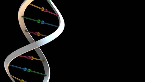 dna-sx zoom de color plano