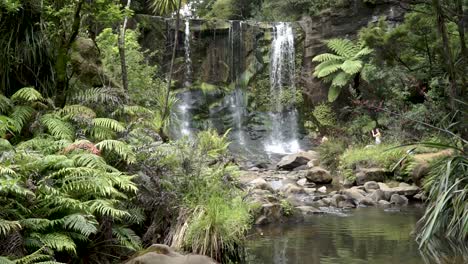 beautiful mokoroa falls, auckland, new zealand