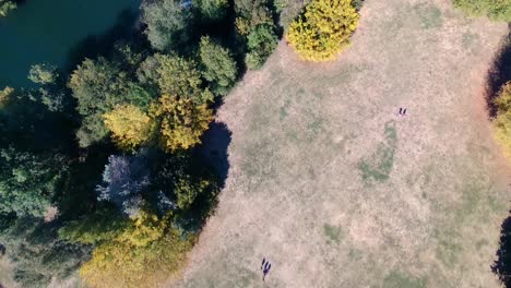 Drohnenansicht-Von-Oben-Nach-Unten-In-Einem-Park-Mit-Passanten,-Die-Wie-Ameisen-Aussehen