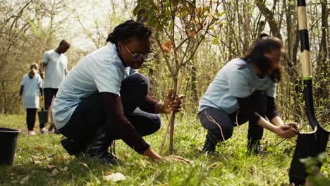 activistas que unen fuerzas para plantar árboles en el bosque