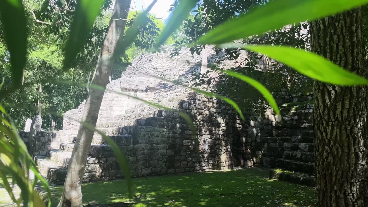 las antiguas ruinas de los mayas en méxico profundas vegetación de la selva de cerca