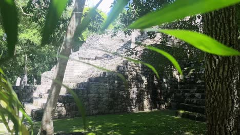 Calakmul-ancient-Maya-ruins-in-mexico-deep-jungle-vegetation-close-up