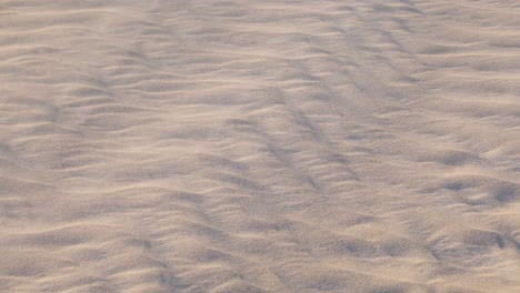 sand blowing across desert and sand ripples creating a beautiful pattern