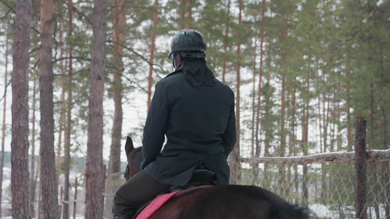 군마가 평화로운 농가를 살펴보고, 기사는 겨울에 눈 덮인 소나무로 둘러싸인 고요한 목초지를 둘러봅니다. 말과 기수는 추운 계절 동안 눈 덮인 나무가 있는 조용한 들판을 바라봅니다.