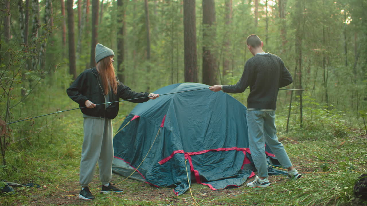 Duo lovers standing in forest fixing flexible tent pole together with tent positioned behind them, surrounded by trees and grassy clearing, working in harmony during calm daylight