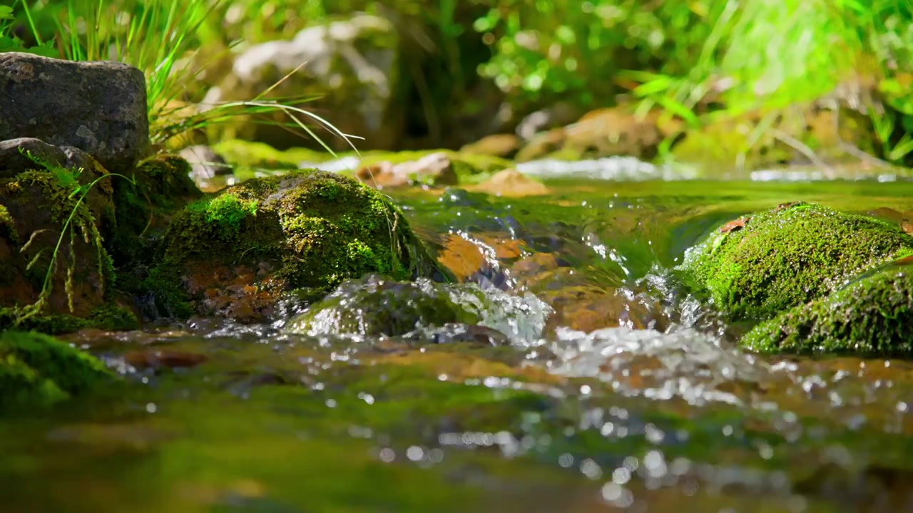 Acqua limpida che scorre dolcemente su rocce muschiose in un ruscello nel bosco.