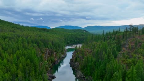 Green-Spruce-Trees-On-Flathead-River-Near-Glacier-National-Park-In-Montana,-USA