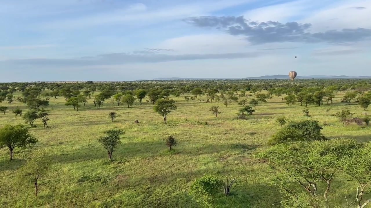 Una mongolfiera che si libra sopra le vaste praterie del Serengeti, offrendo una vista serena della savana. Tanzania