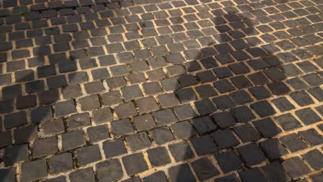 un hombre que proyecta su propia sombra mientras está parado en el pavimento de una calle de ladrillos mientras otras personas pasan proyectando sus propias sombras también